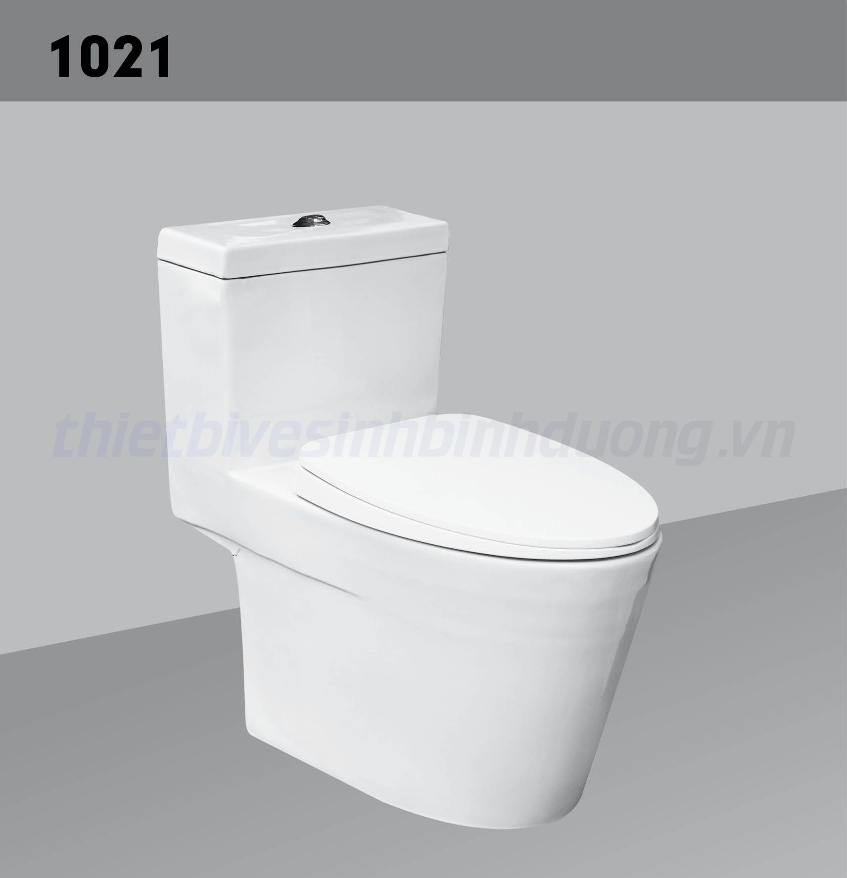 Bồn cầu sứ Hảo Cảnh HC 1021